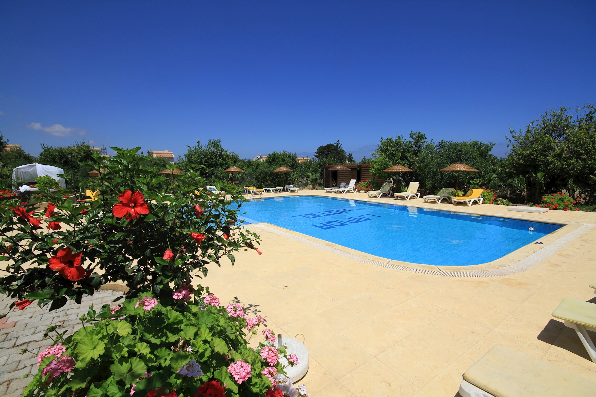 lapida hotel pool view