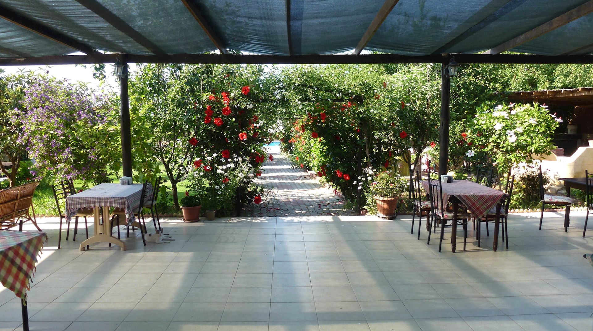 cheap resort hotels to Spend holiday with family