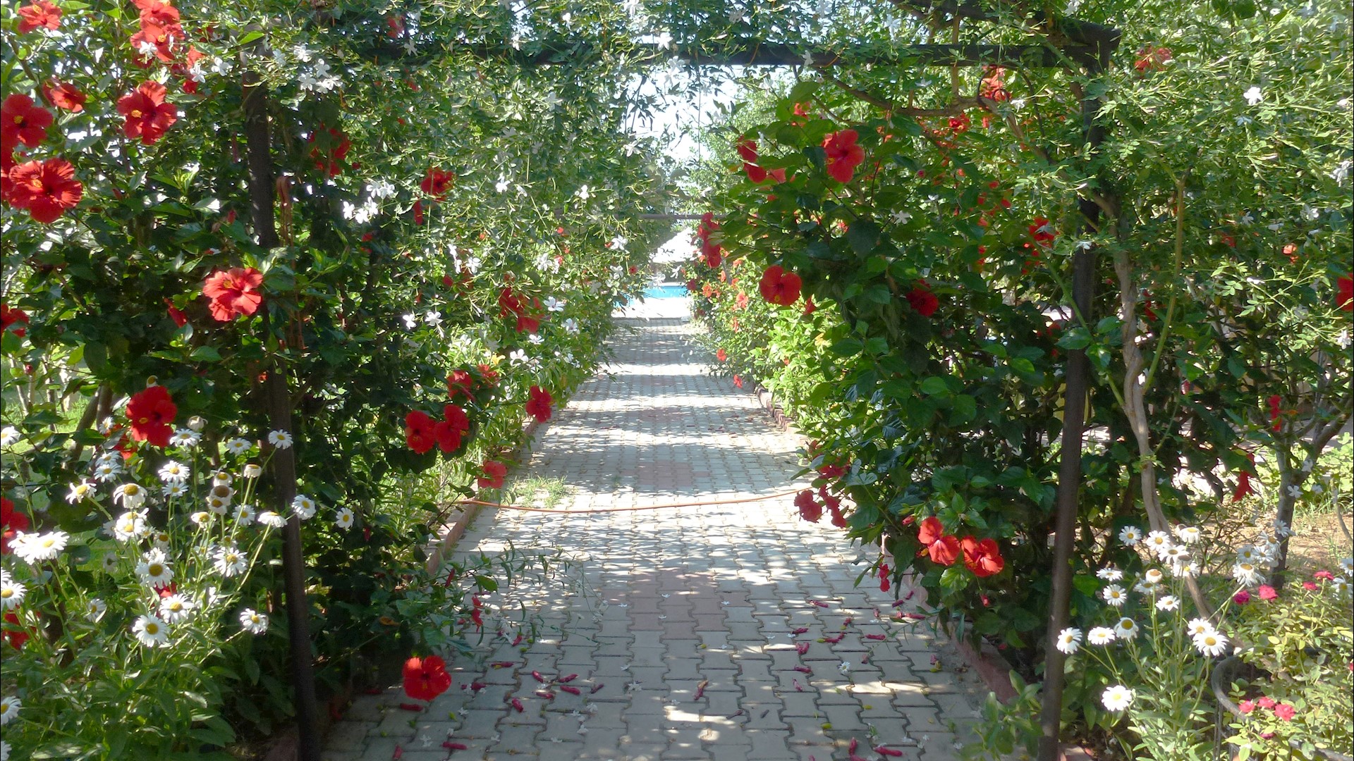 cheap resort hotels to Spend holiday with family