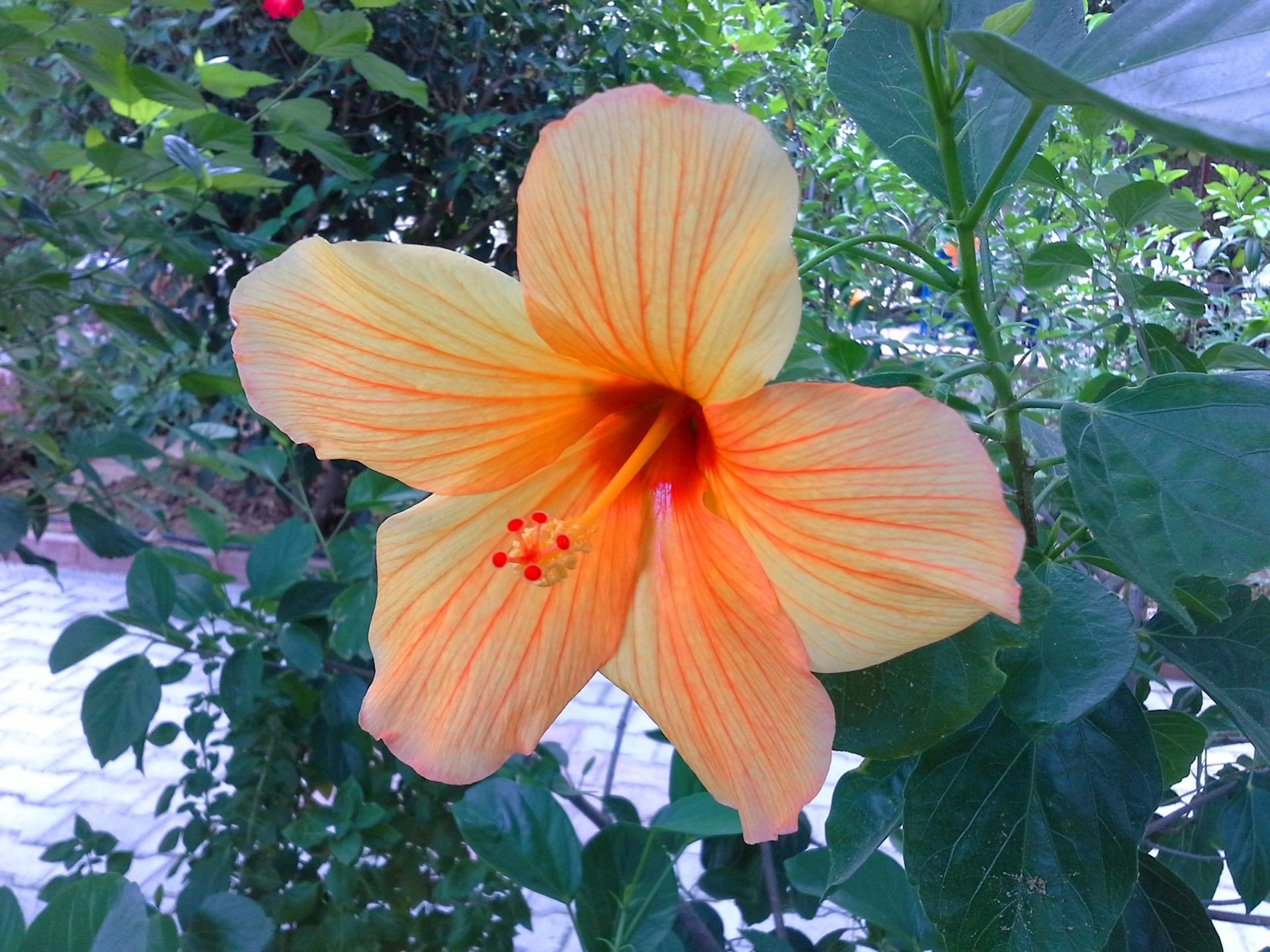 cheap resort hotels to Spend holiday with family