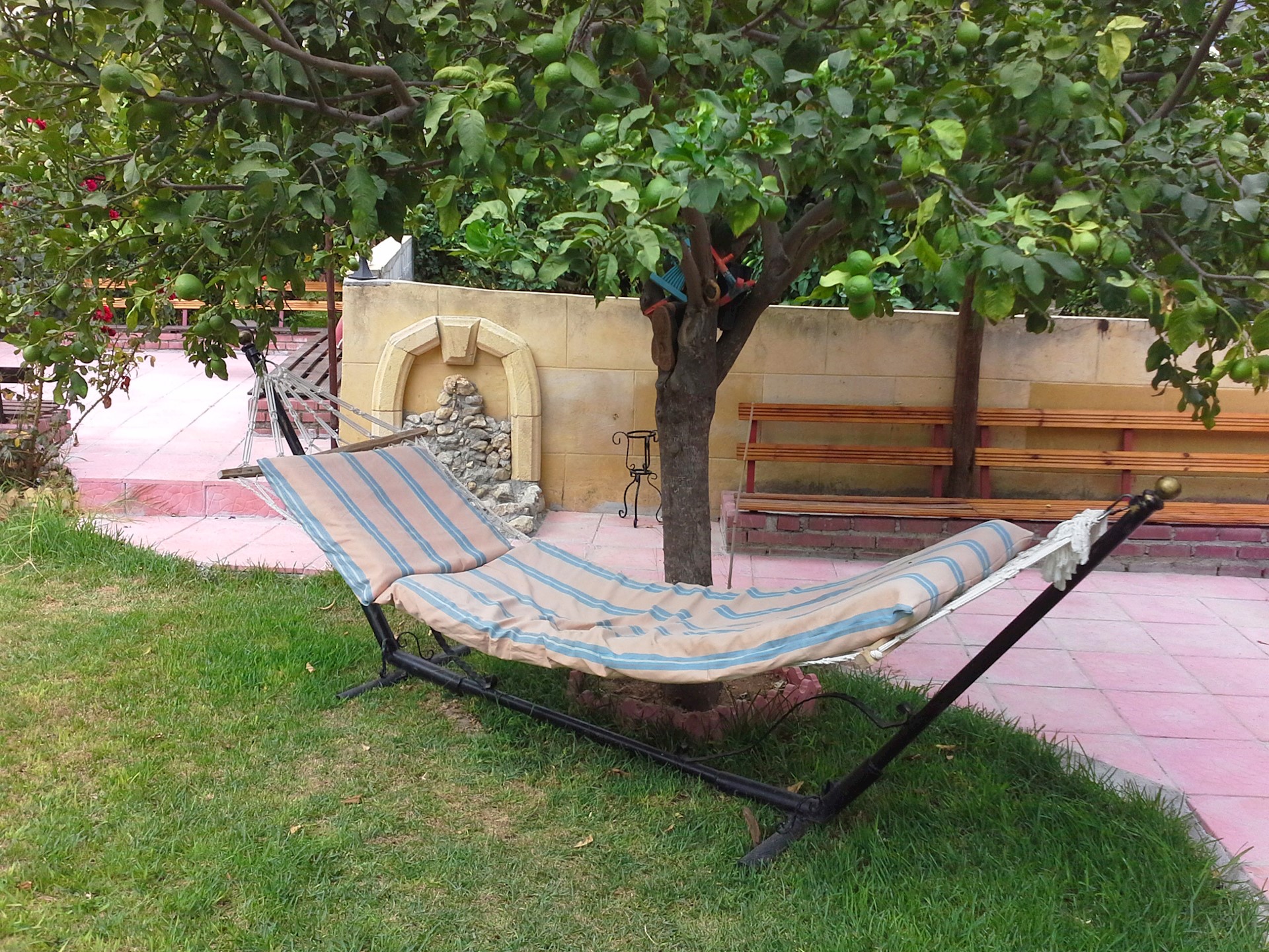 cheap resort hotels to Spend holiday with family