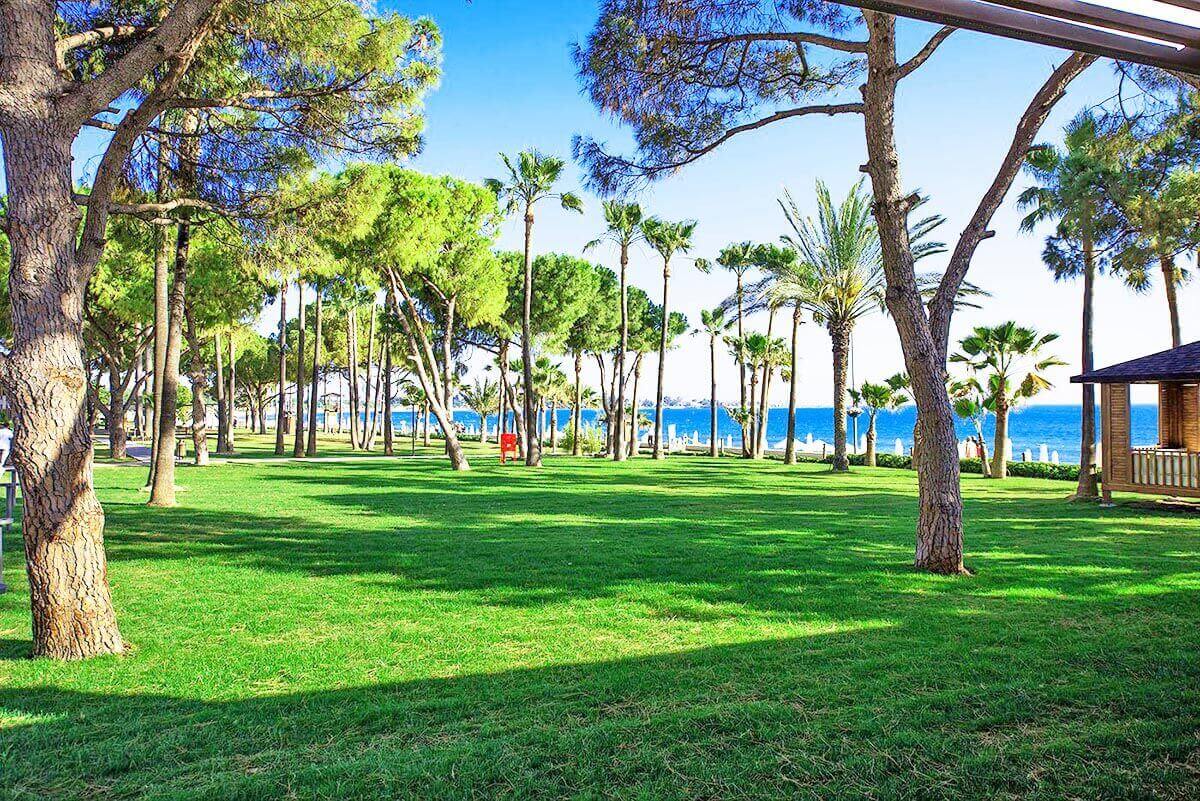 cheap resort hotels to Spend holiday with family