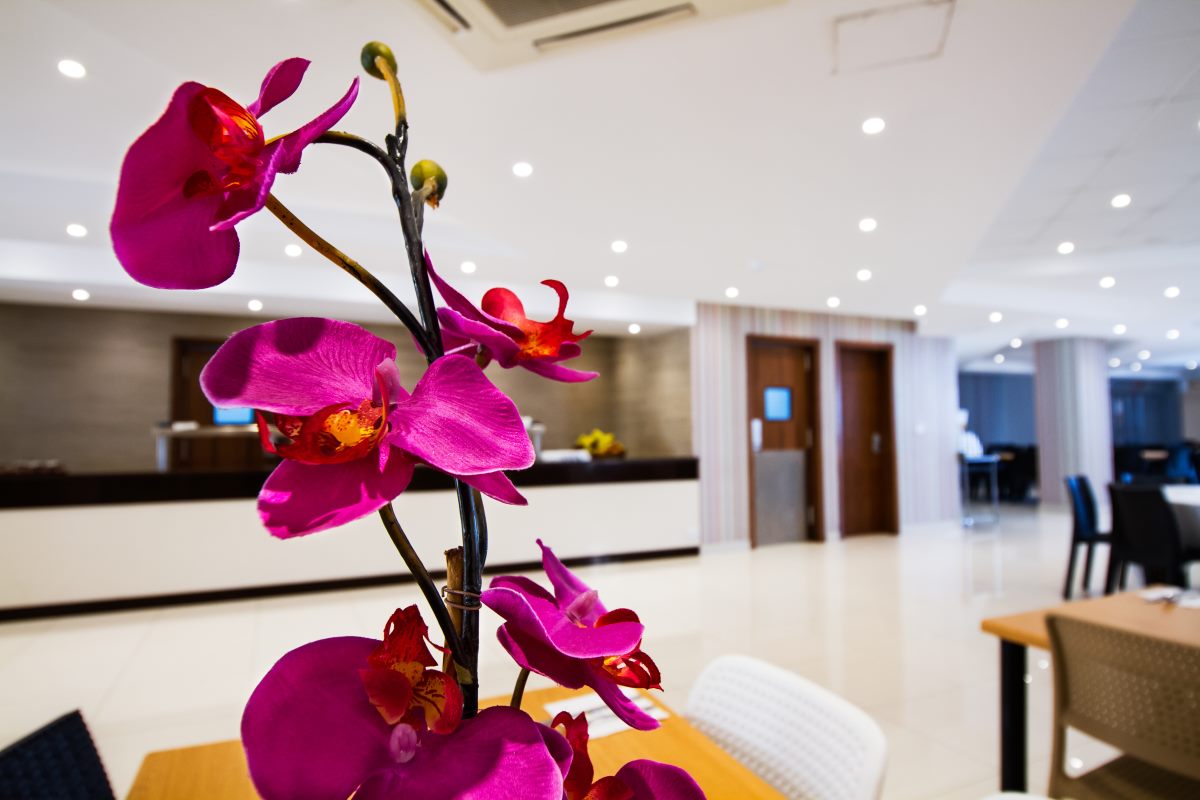 cheap resort hotels to Spend holiday with family