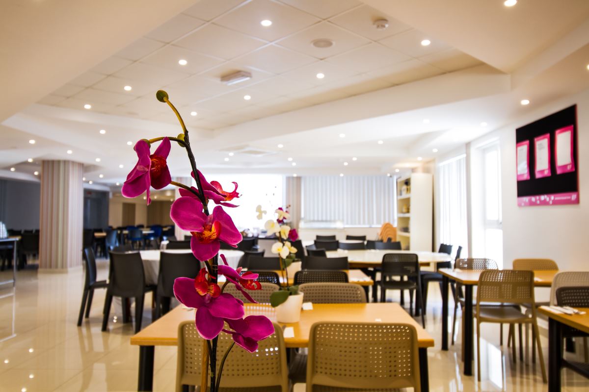 cheap resort hotels to Spend holiday with family