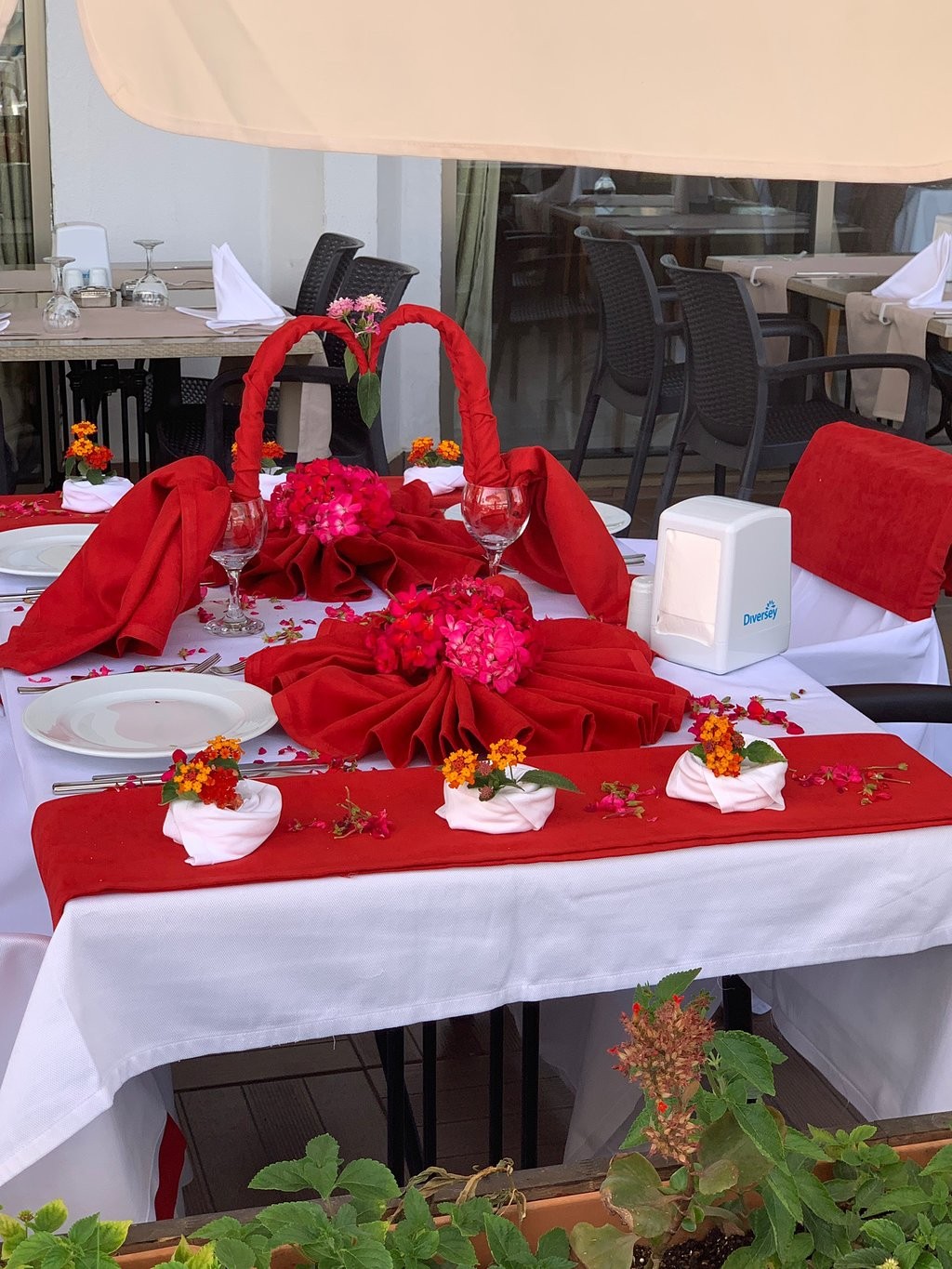 cheap resort hotels to Spend holiday with family