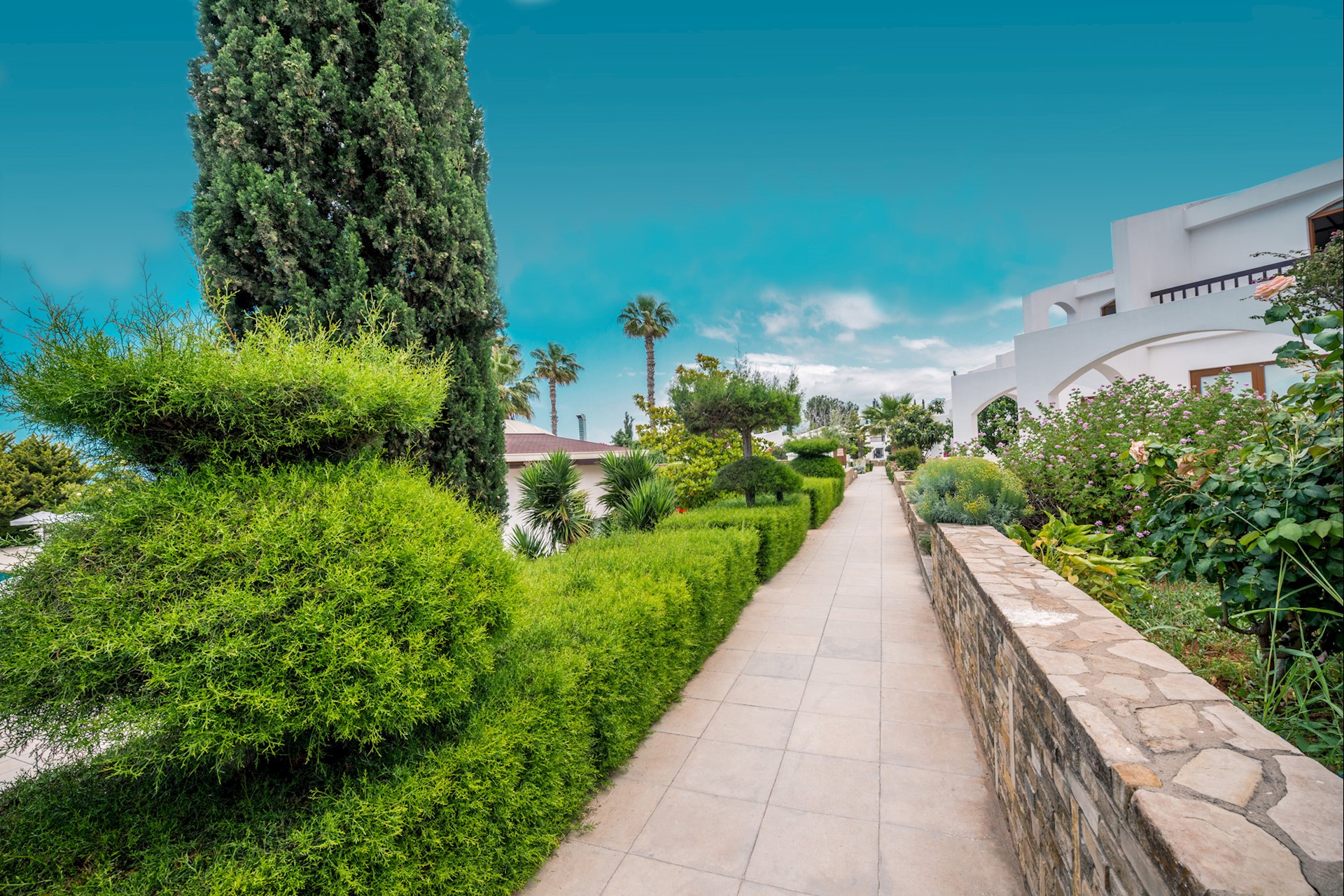 cheap resort hotels to Spend holiday with family