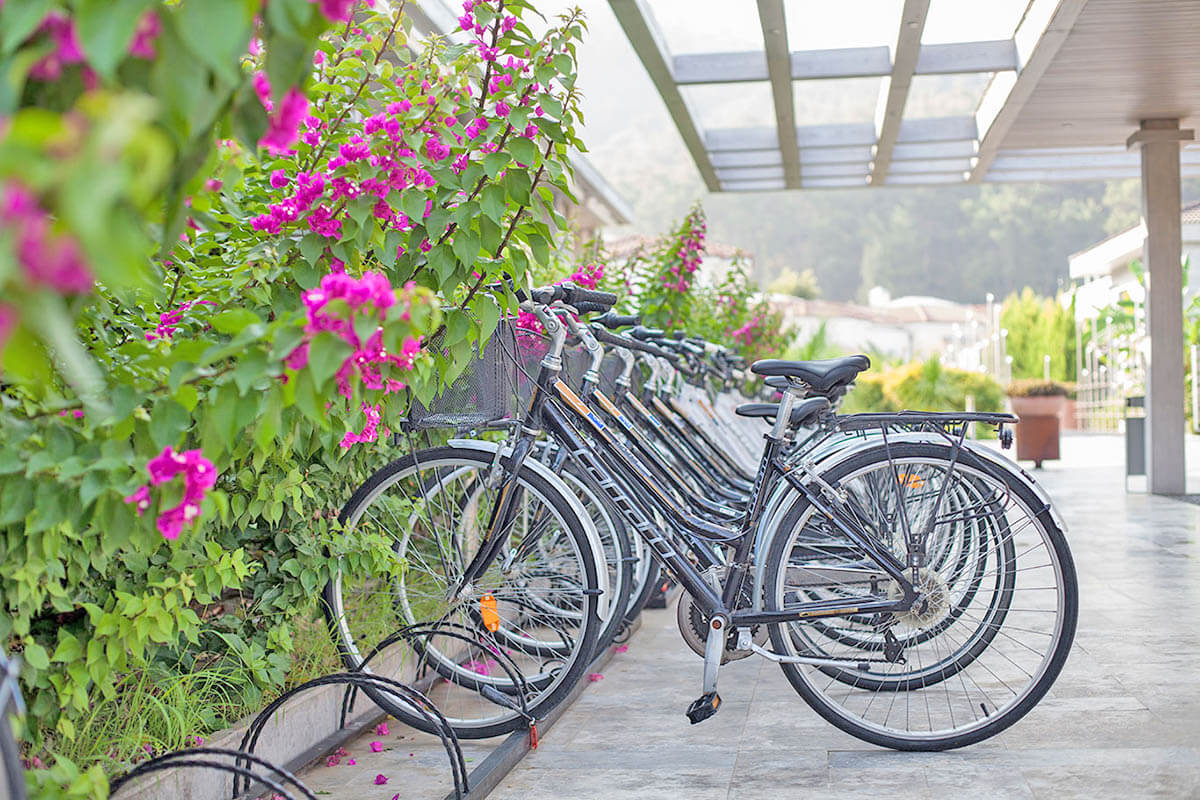 cheap resort hotels to Spend holiday with family