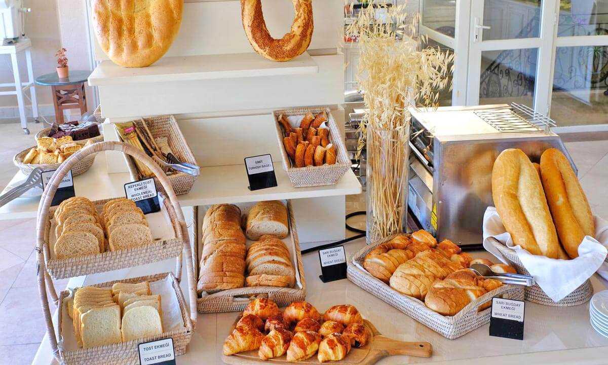 cheap resort hotels to Spend holiday with family