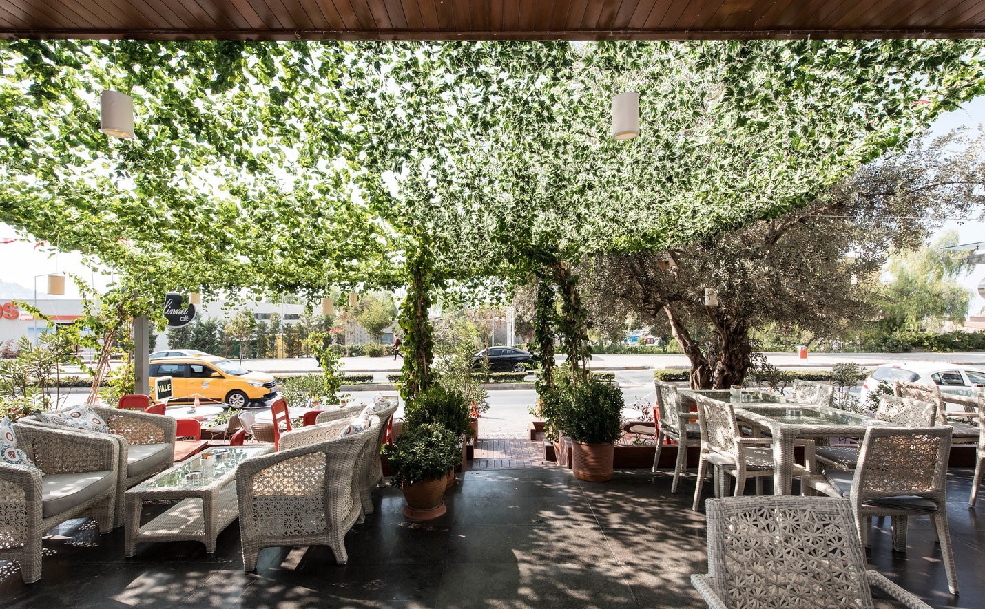 cheap resort hotels to Spend holiday with family