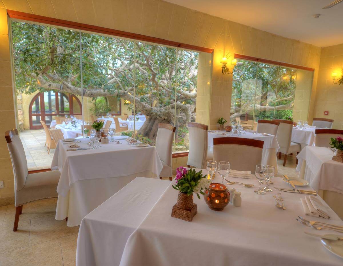 Enticingly Mediterranean Gastronomy