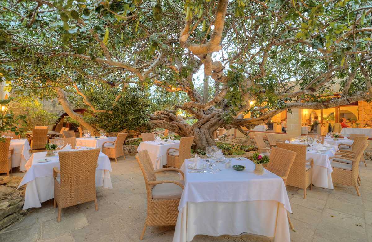 cheap resort hotels to Spend holiday with family