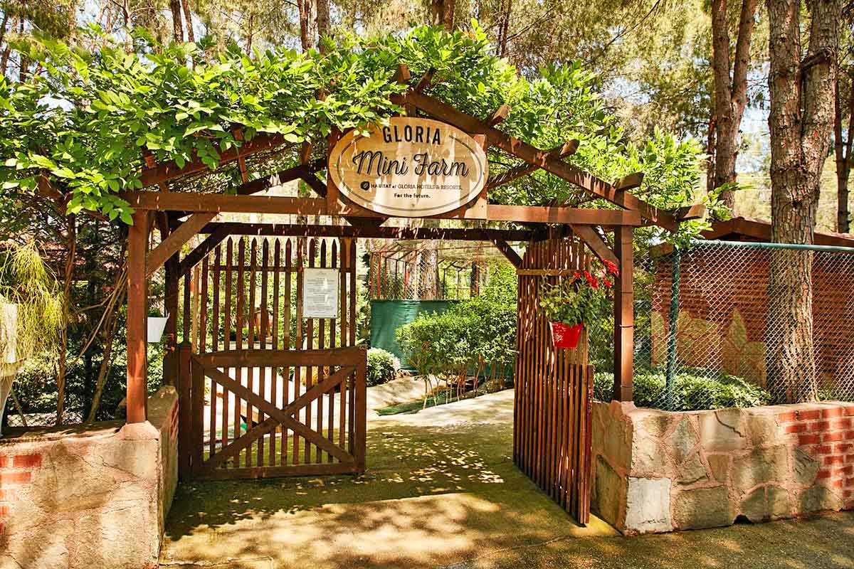 cheap resort hotels to Spend holiday with family