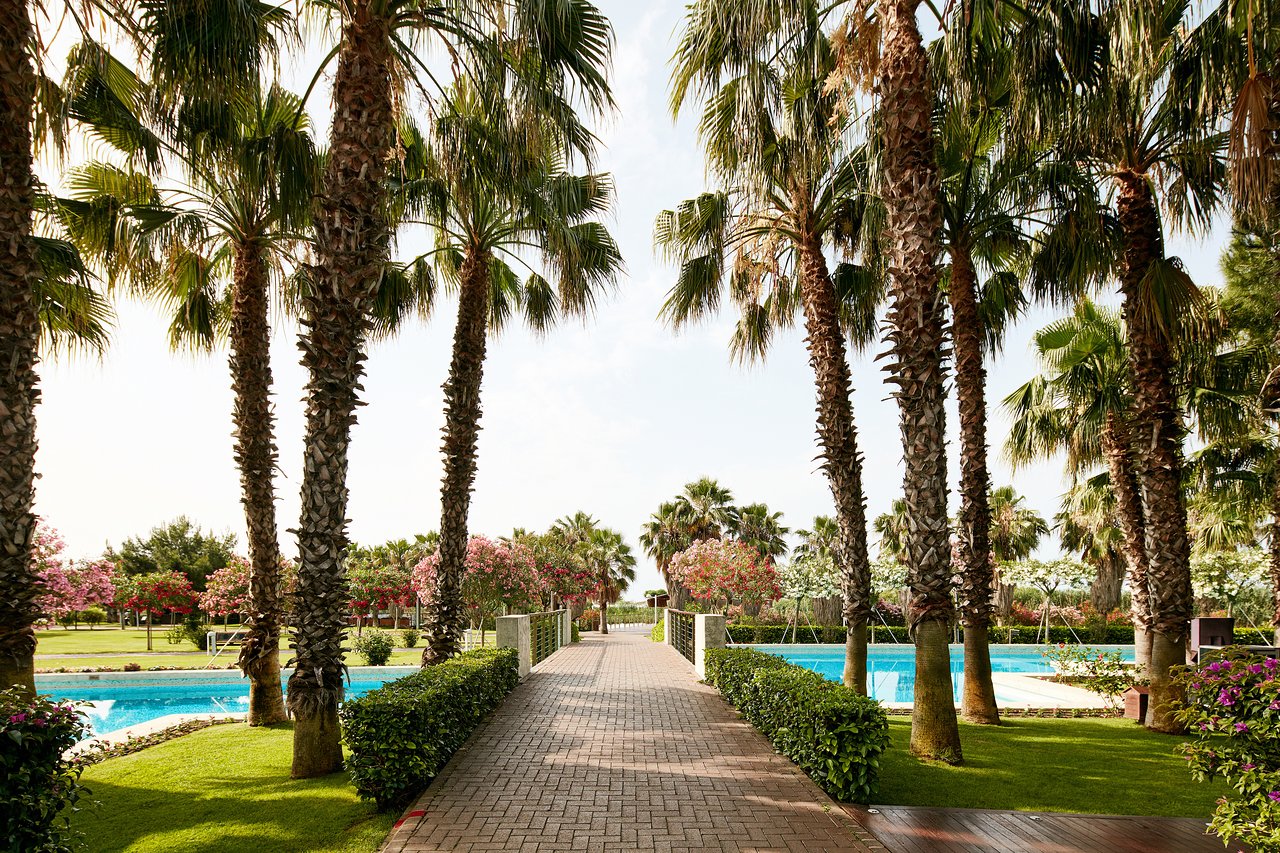 cheap resort hotels to Spend holiday with family