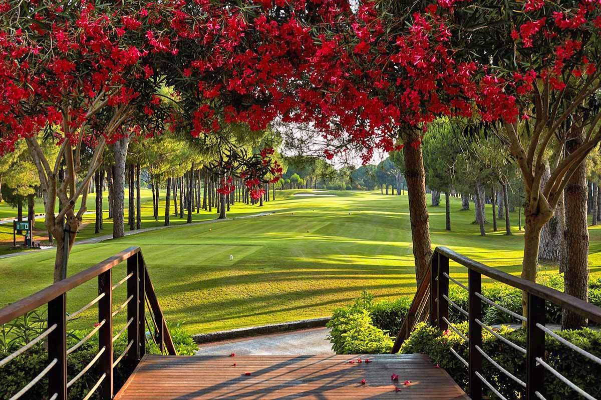 cheap resort hotels to Spend holiday with family