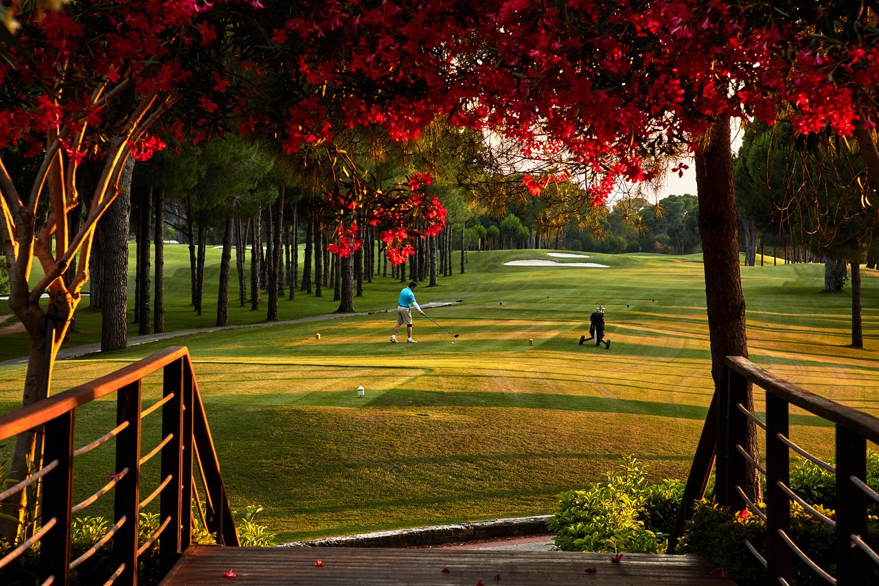 cheap resort hotels to Spend holiday with family