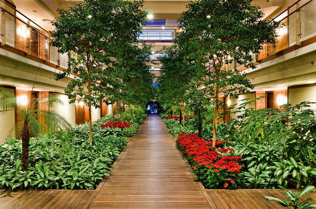 cheap resort hotels to Spend holiday with family