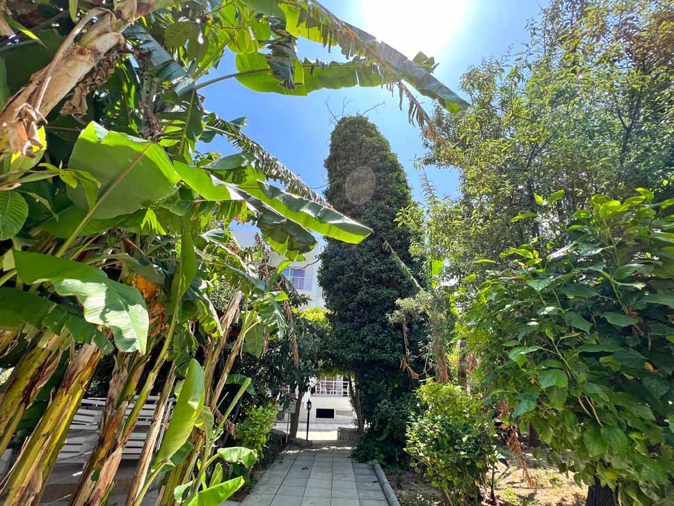 cheap resort hotels to Spend holiday with family