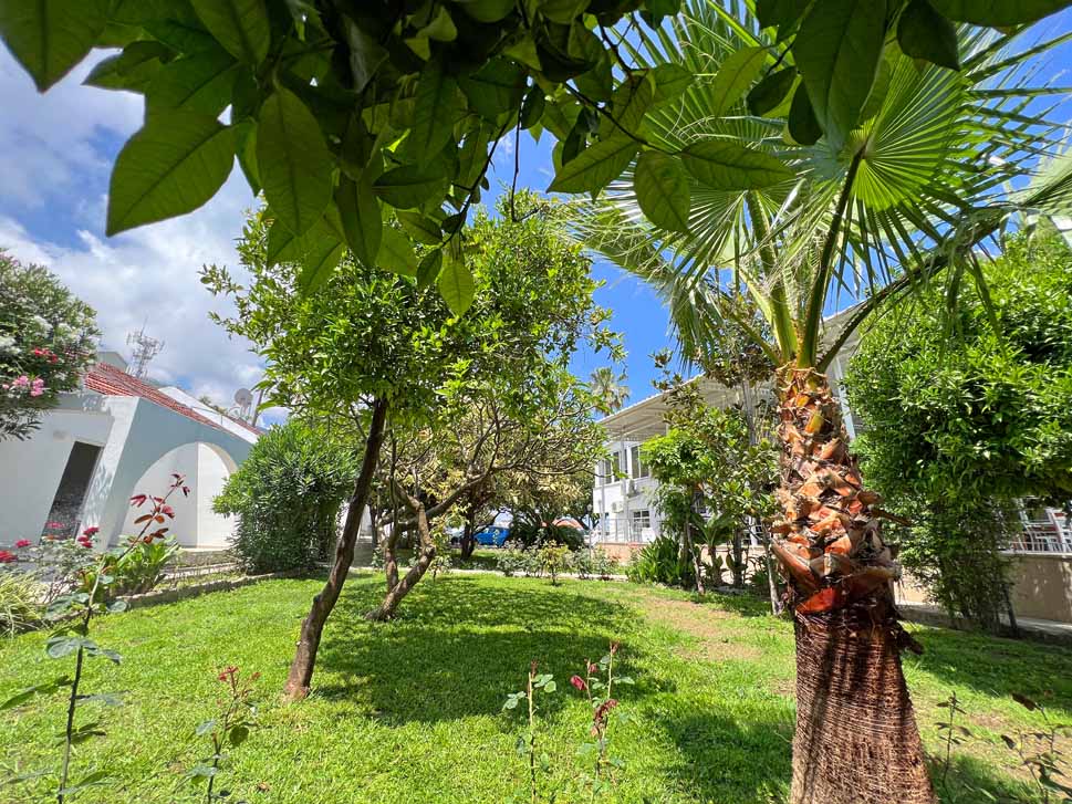 cheap resort hotels to Spend holiday with family