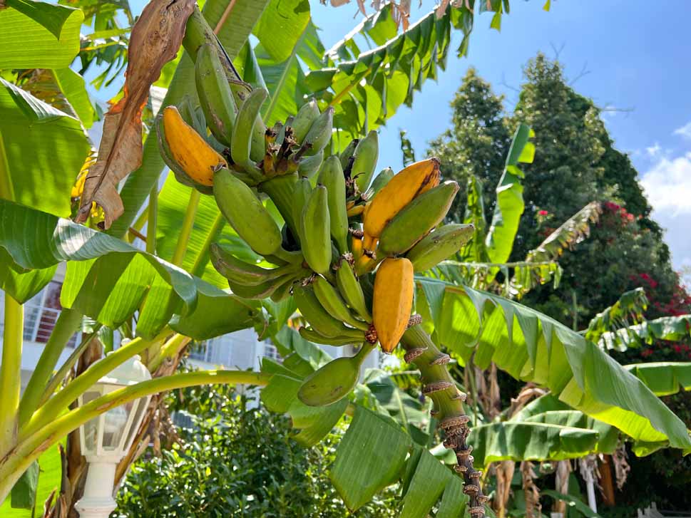 cheap resort hotels to Spend holiday with family