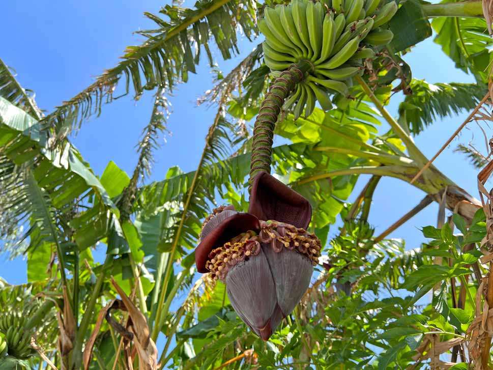 cheap resort hotels to Spend holiday with family