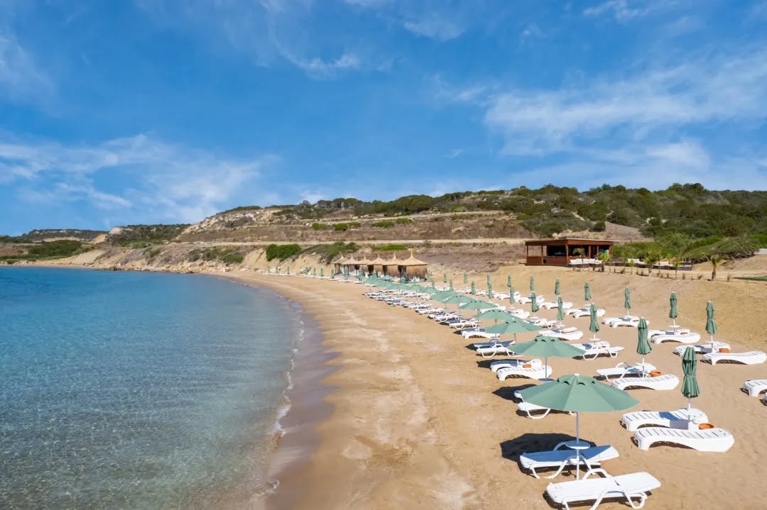 Beachfront Bliss