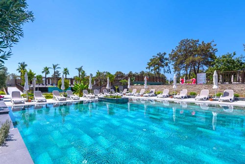 cheap resort hotels to Spend holiday with family