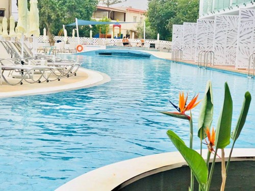 cheap resort hotels to Spend holiday with family