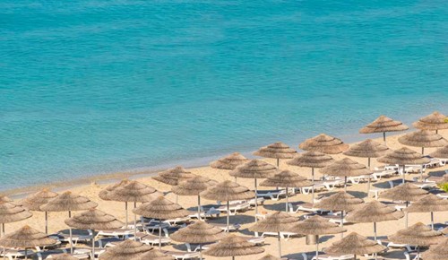 cheap resort hotels to Spend holiday with family