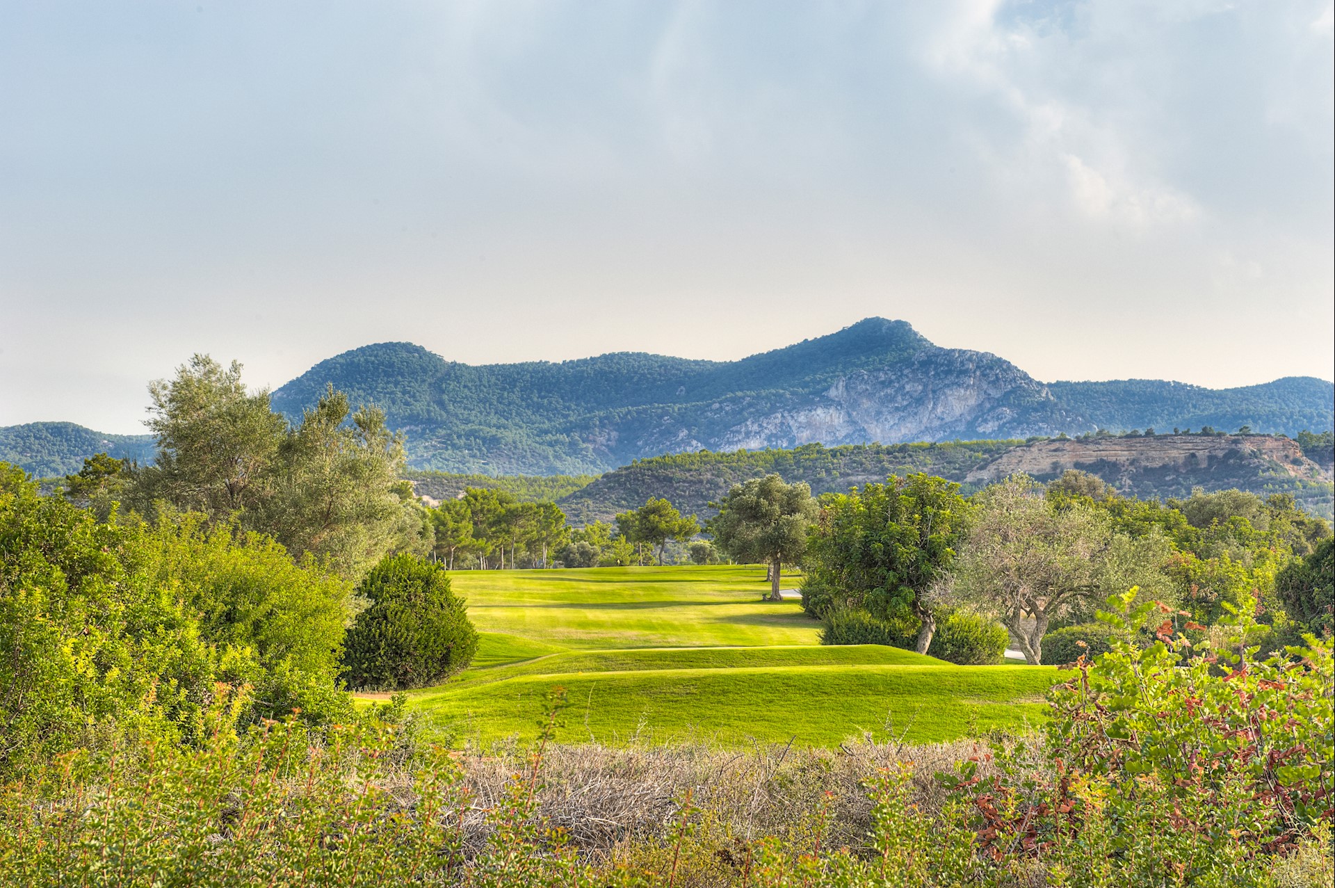 cheap resort hotels to Spend holiday with family