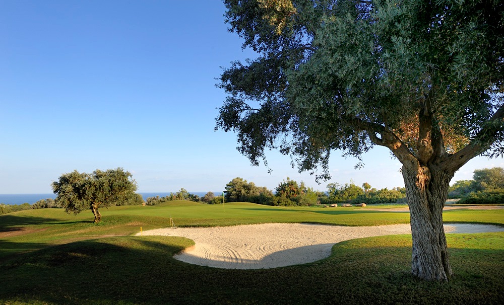 cheap resort hotels to Spend holiday with family