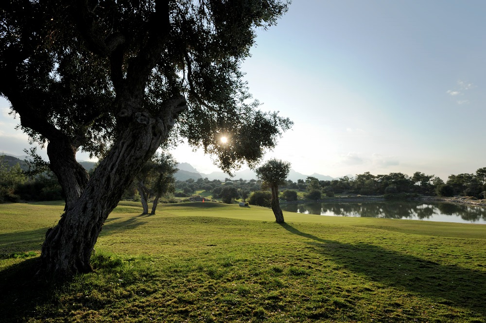 cheap resort hotels to Spend holiday with family