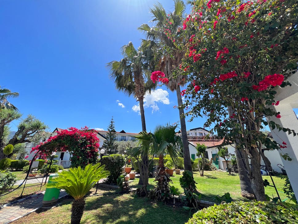 cheap resort hotels to Spend holiday with family