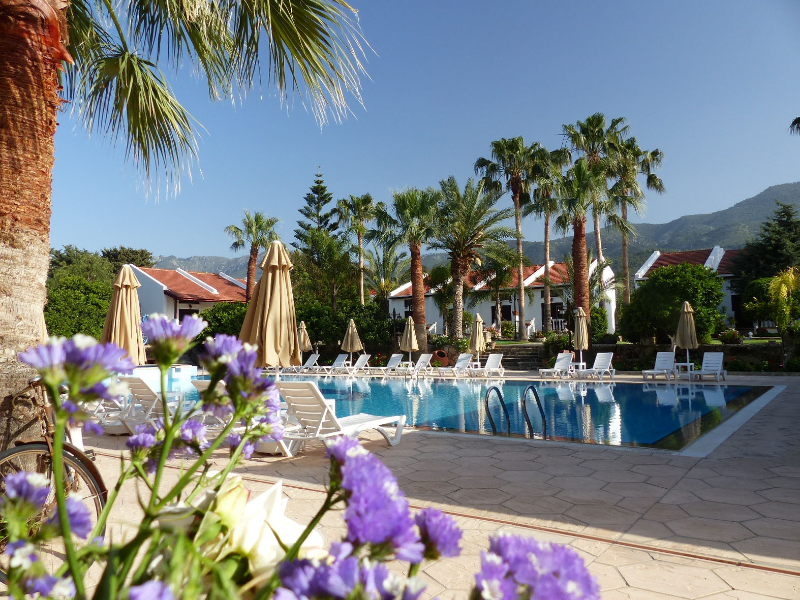 cheap resort hotels to Spend holiday with family