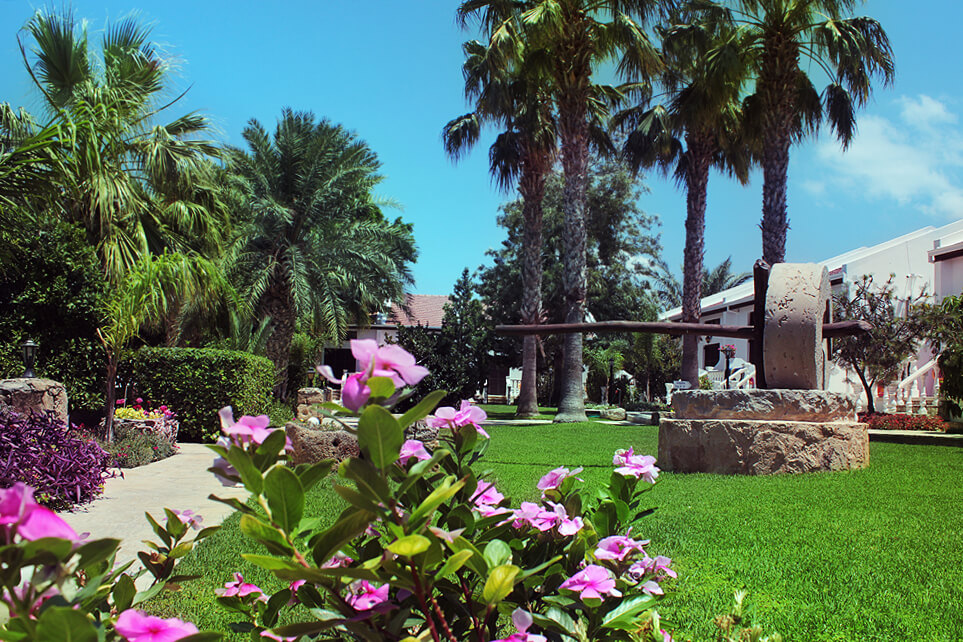 cheap resort hotels to Spend holiday with family