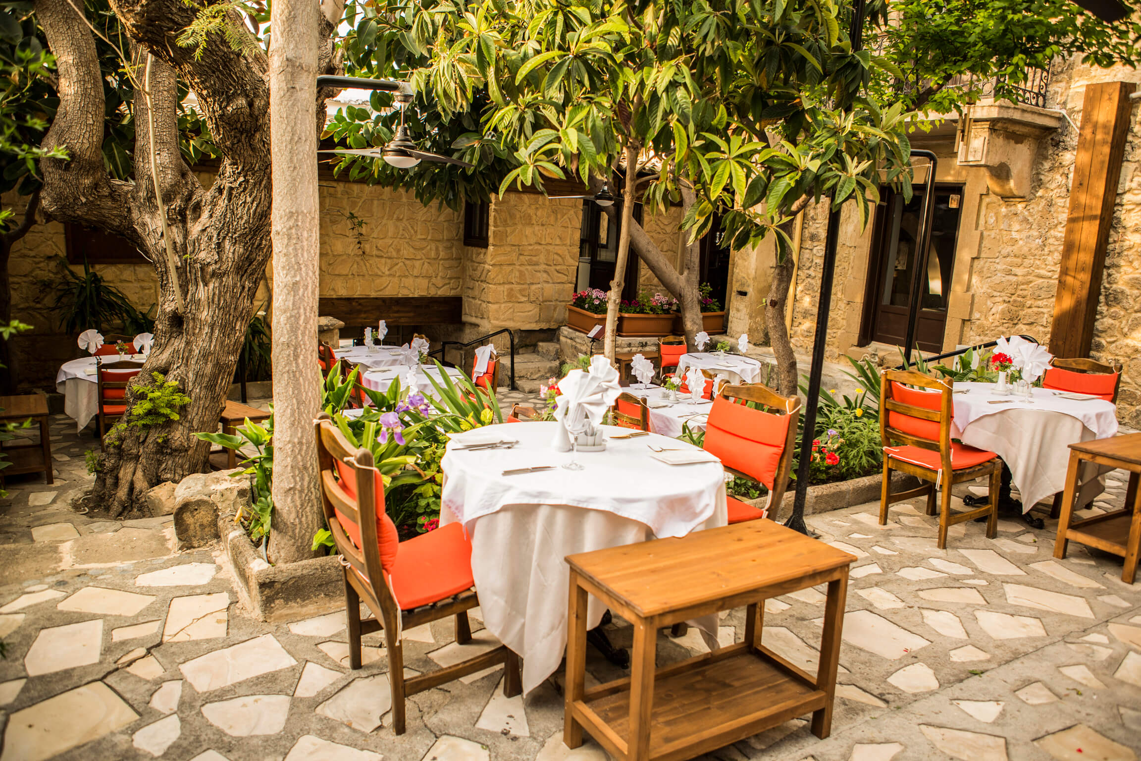 cheap resort hotels to Spend holiday with family