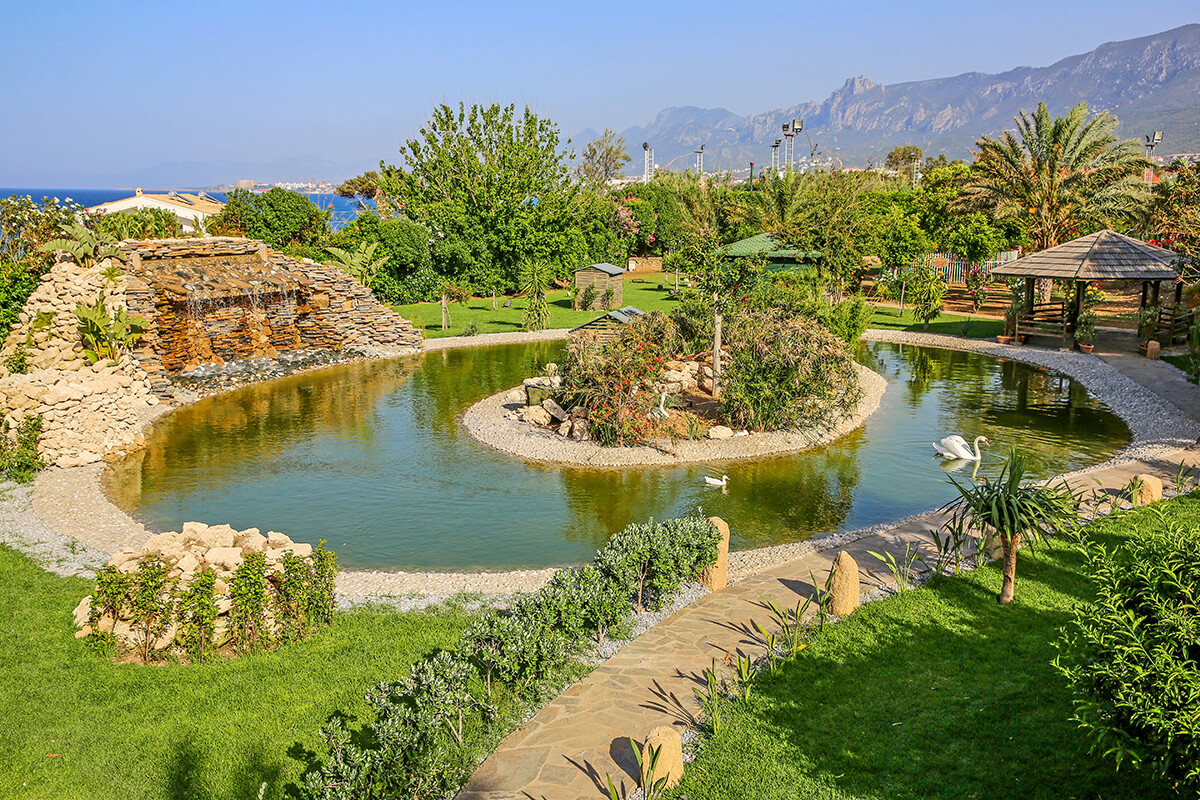 cheap resort hotels to Spend holiday with family