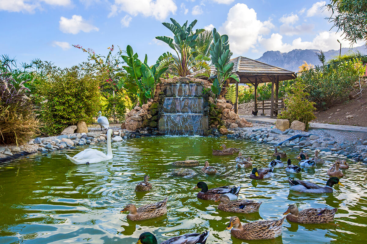 cheap resort hotels to Spend holiday with family