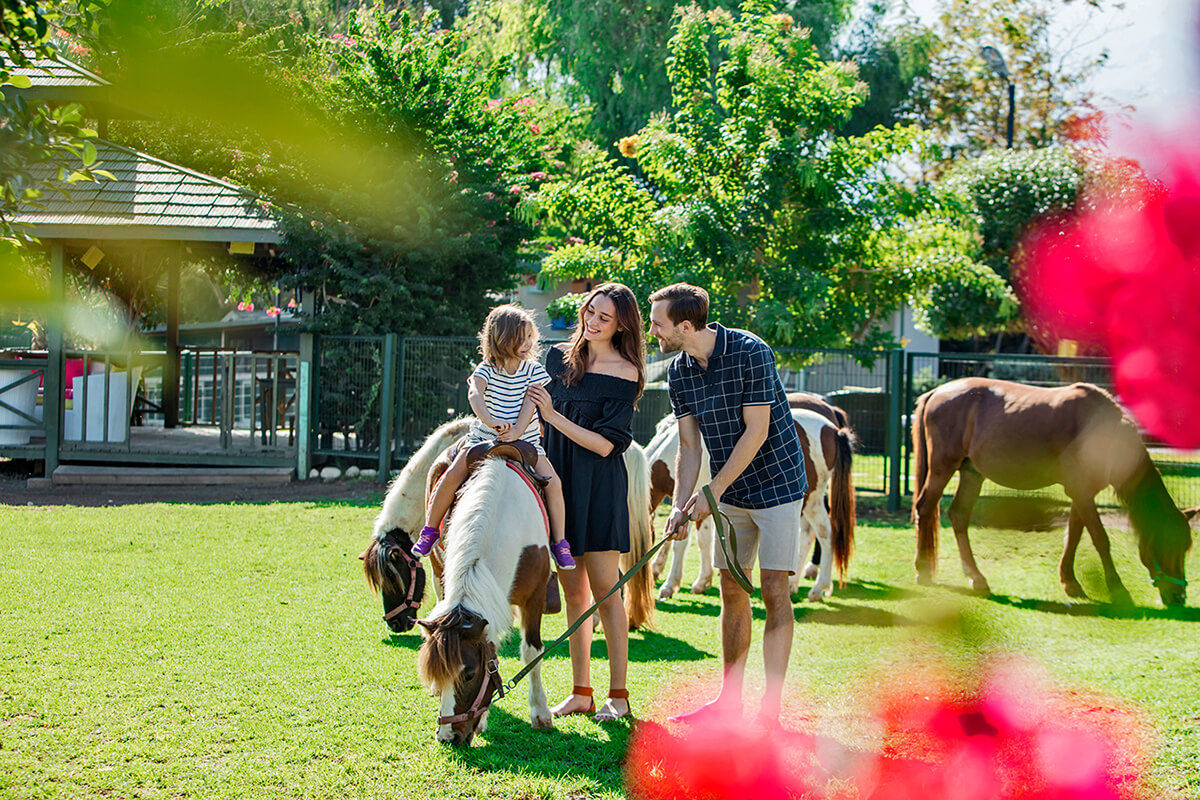 cheap resort hotels to Spend holiday with family