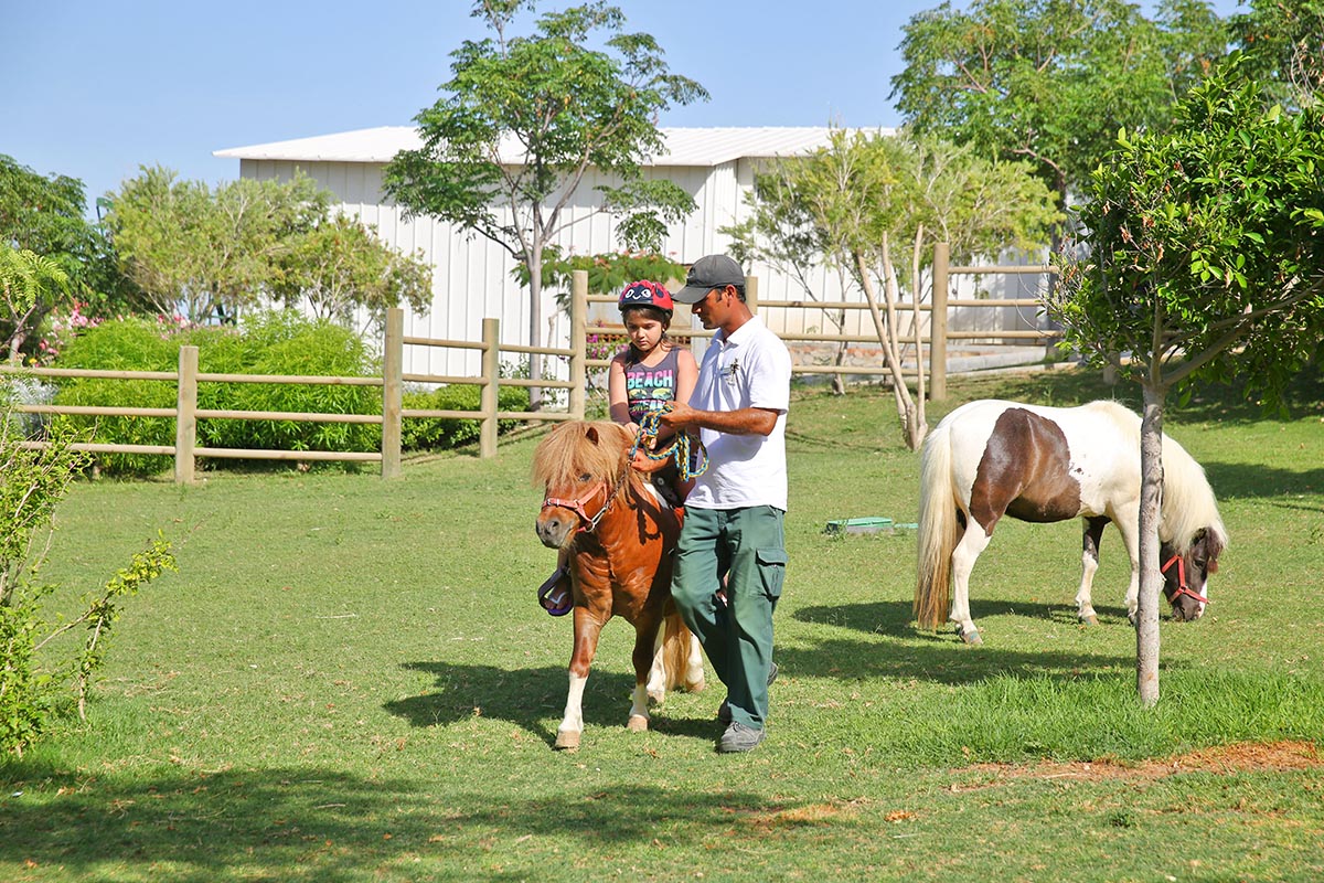 cheap resort hotels to Spend holiday with family