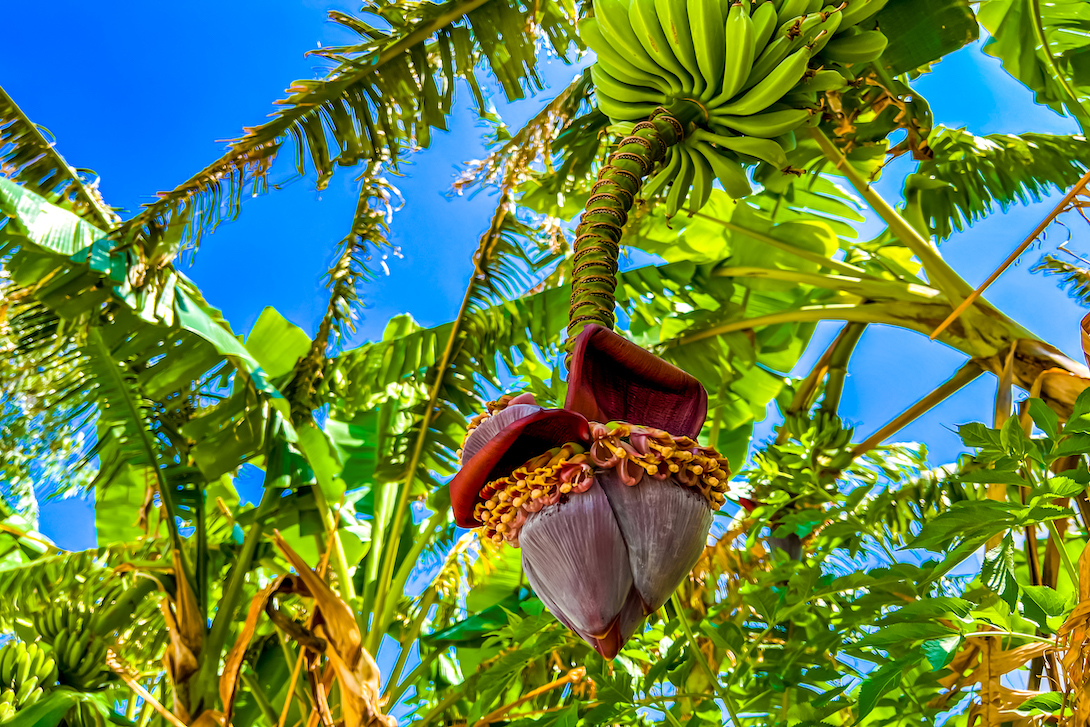 cheap resort hotels to Spend holiday with family