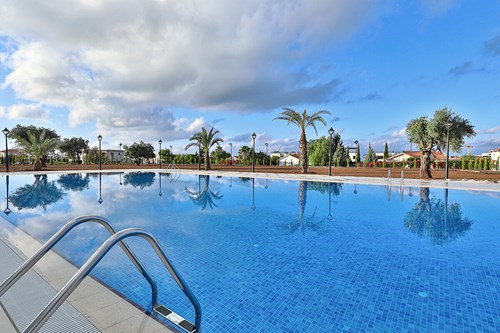 Relax by the Pool: